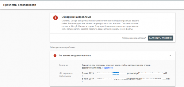 problemy_bezopasnosti.png
