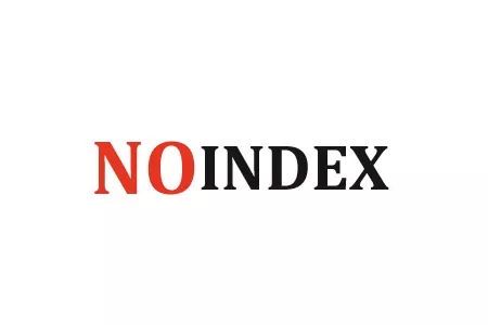 Вся правда о теге NOINDEX